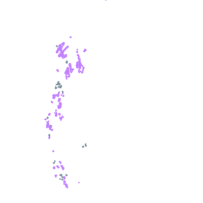 overview